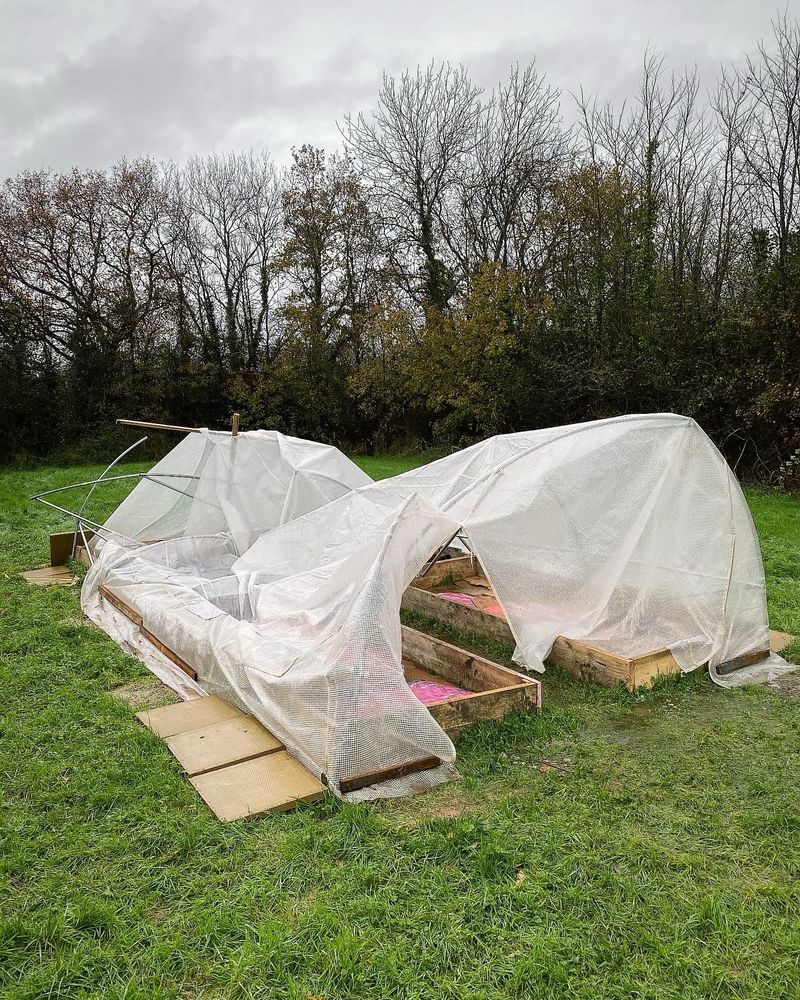 Storm damaged polytunnel at the Cranbrook Community Garden in Devon