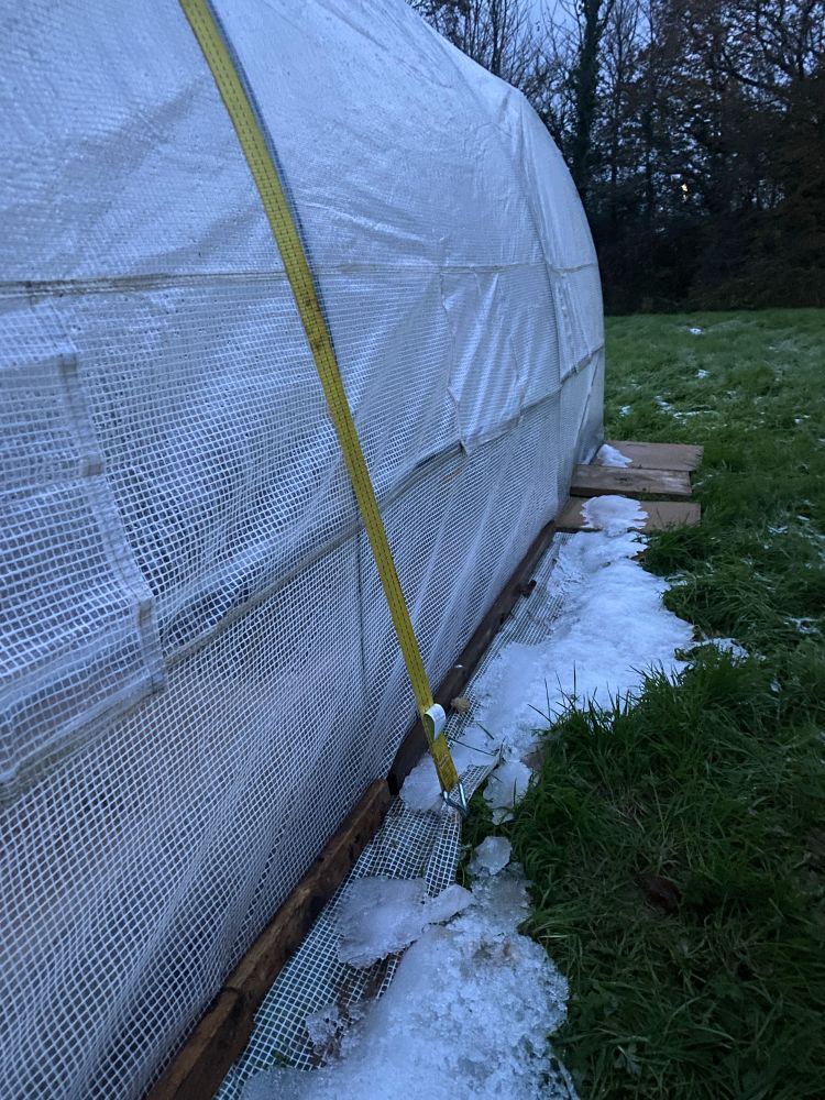 Ratchet strap holding down a polytunnel at the Cranbrook Community Garden in Devon
