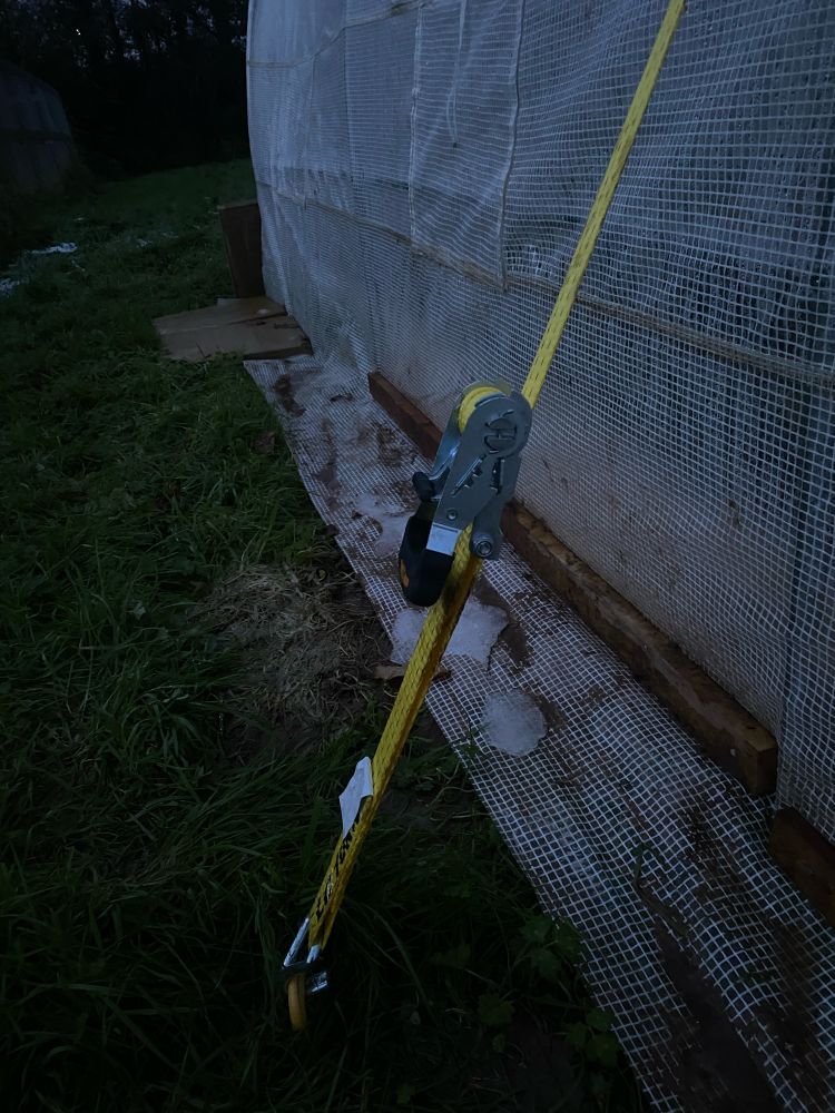 Ratchet strap holding down a polytunnel at the Cranbrook Community Garden in Devon