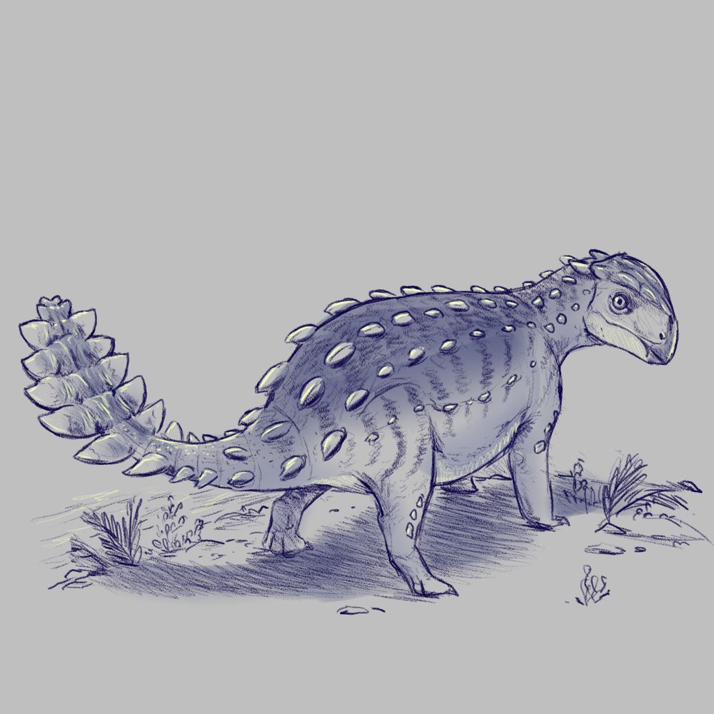 Stegouros elengassen