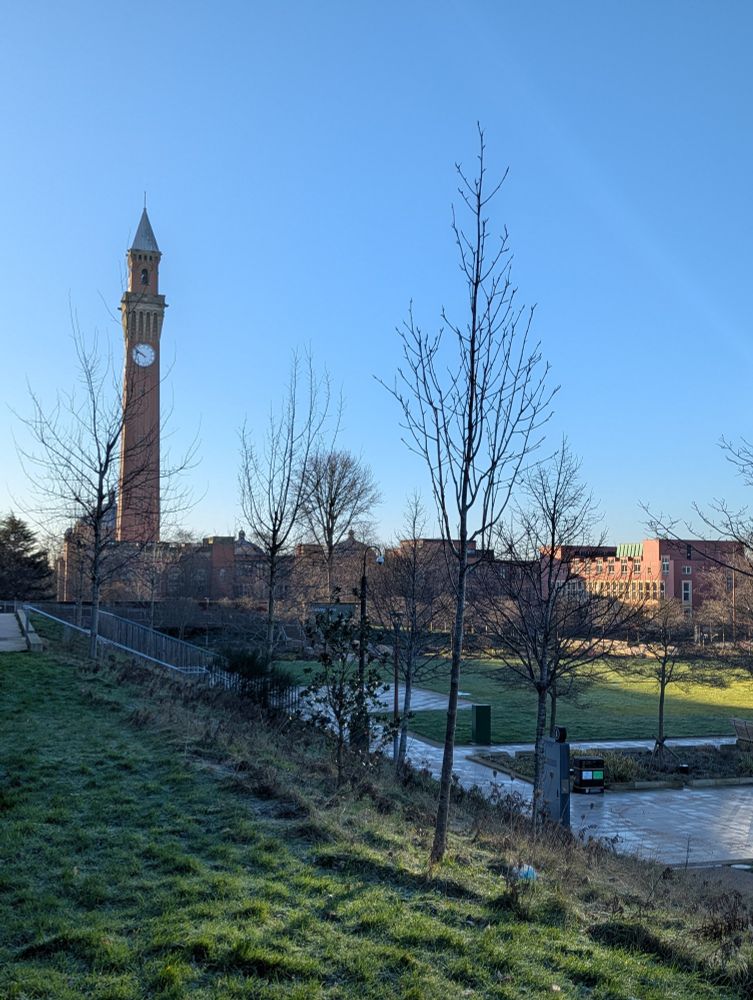 A picture of the University of Birmingham in Edgbaston. Picture shows the clocktower Old Joe to the left and a green space to the right.