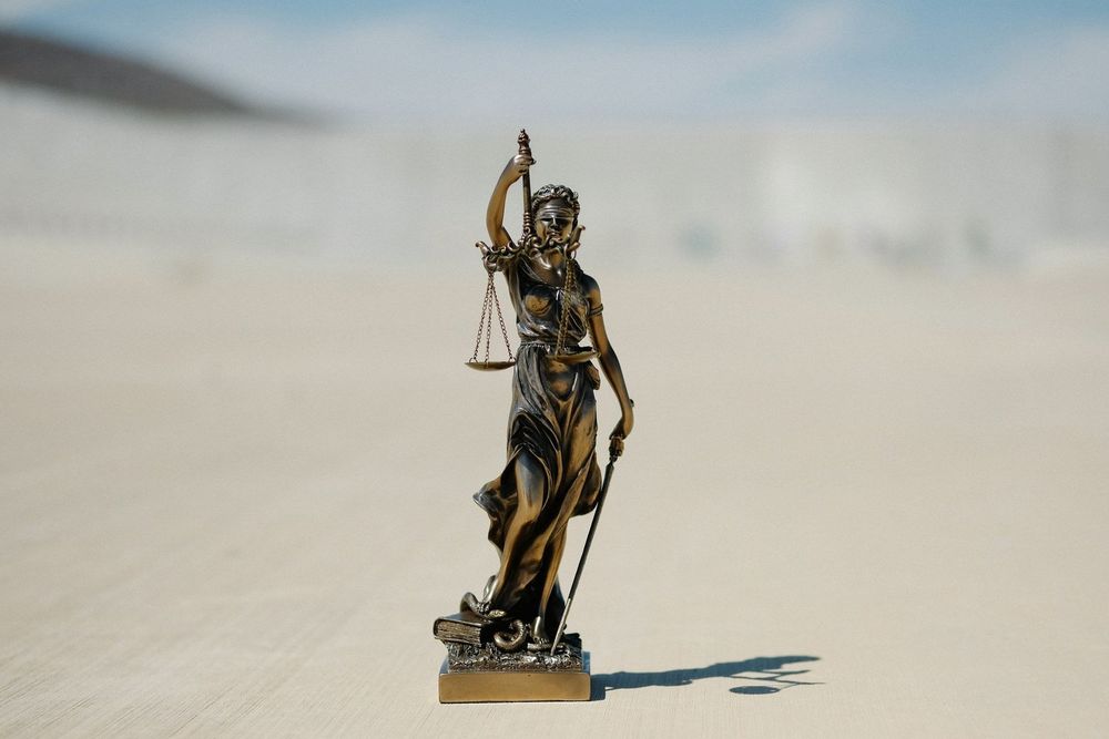 Today, Lawyers for Good Government (L4GG) is proud to launch the   Pro Bono Litigation Corps (PBLC)  —a first-of-its-kind initiative mobilizing experienced attorneys to take on some of the most pressi...