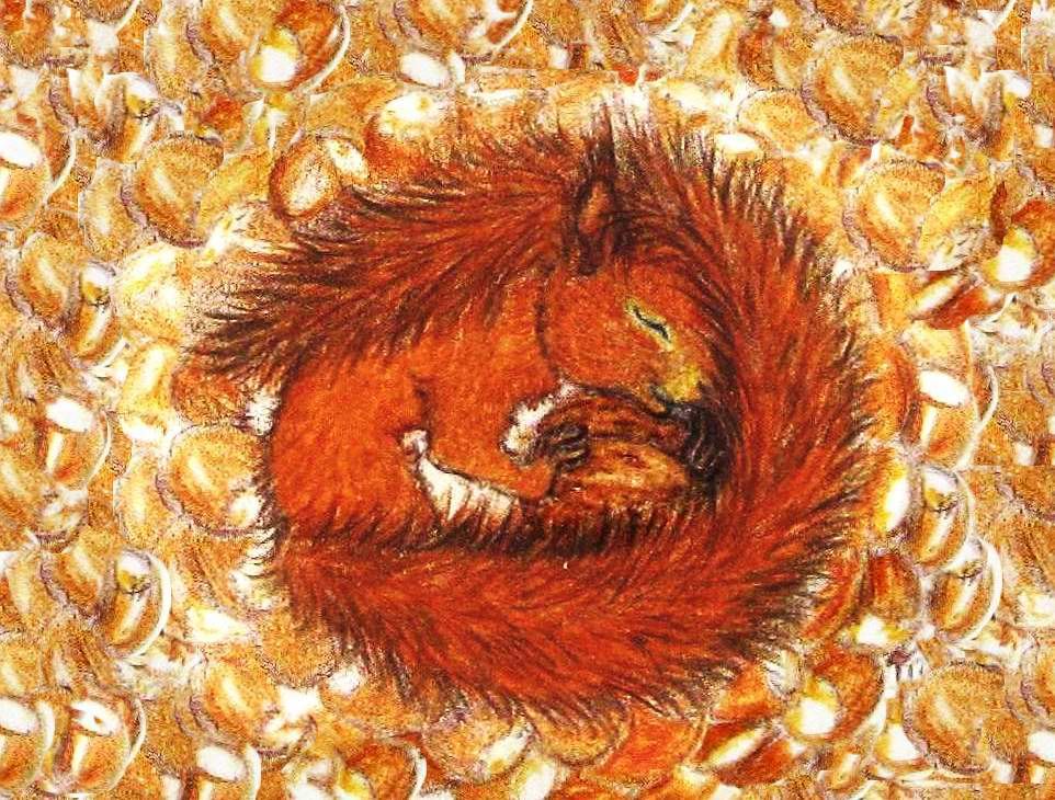 Zeichnung zeigt ein schlafendes Eichhörnchen, zusammengeringelt auf sehr vielen Haselnüssen. Es hält eine Walnuss im Arm.