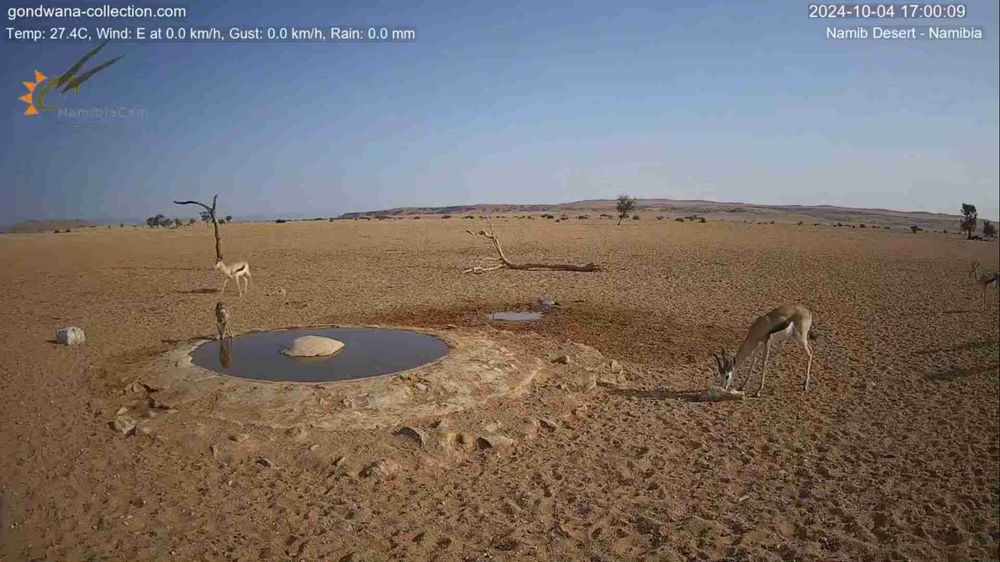 Namibia: Live stream in the Namib Desert