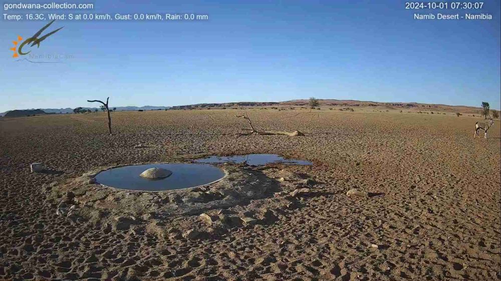 Namibia: Live stream in the Namib Desert