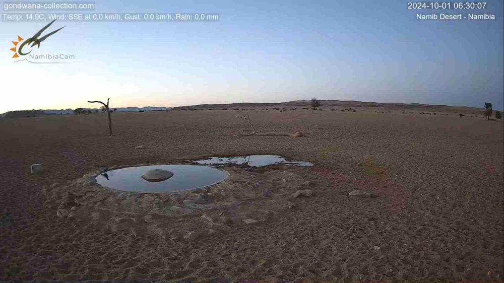 Namibia: Live stream in the Namib Desert