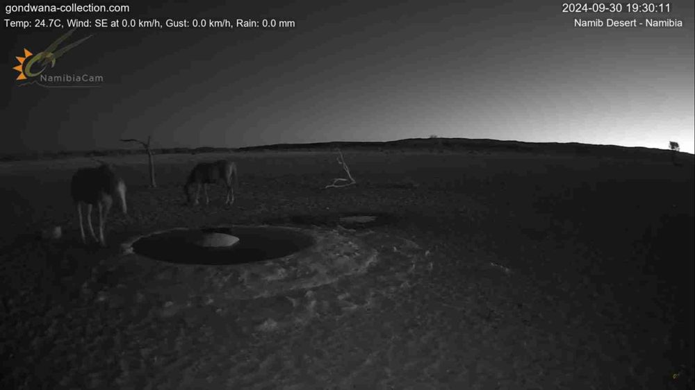 Namibia: Live stream in the Namib Desert