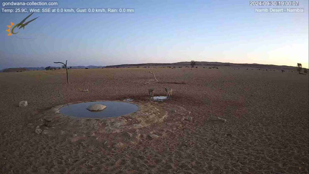 Namibia: Live stream in the Namib Desert