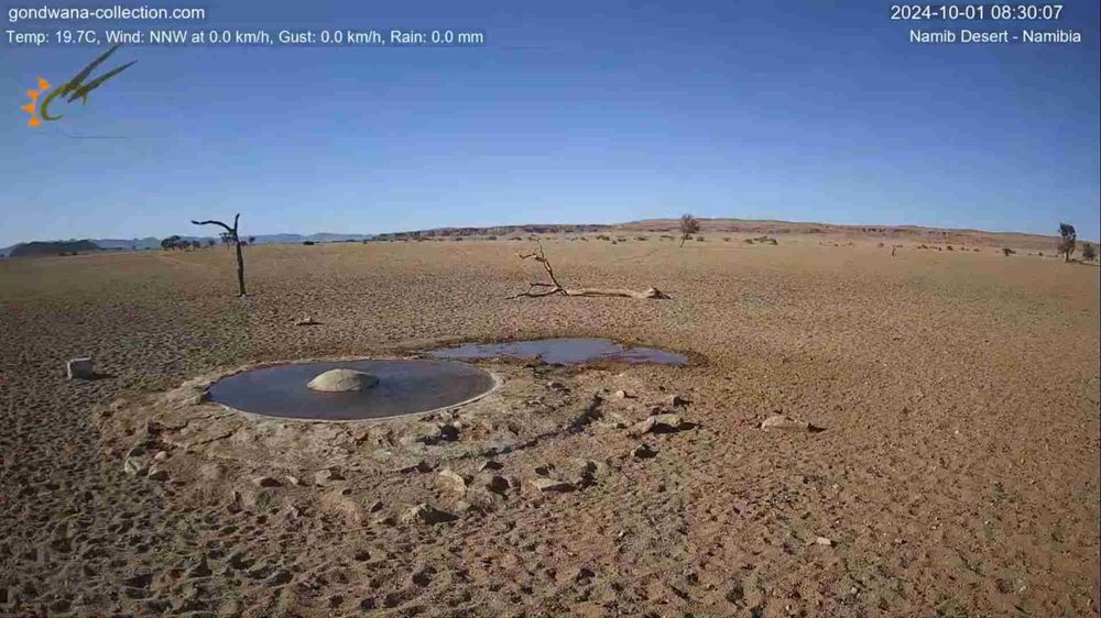 Namibia: Live stream in the Namib Desert