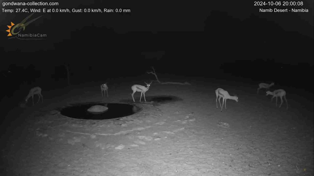 Namibia: Live stream in the Namib Desert