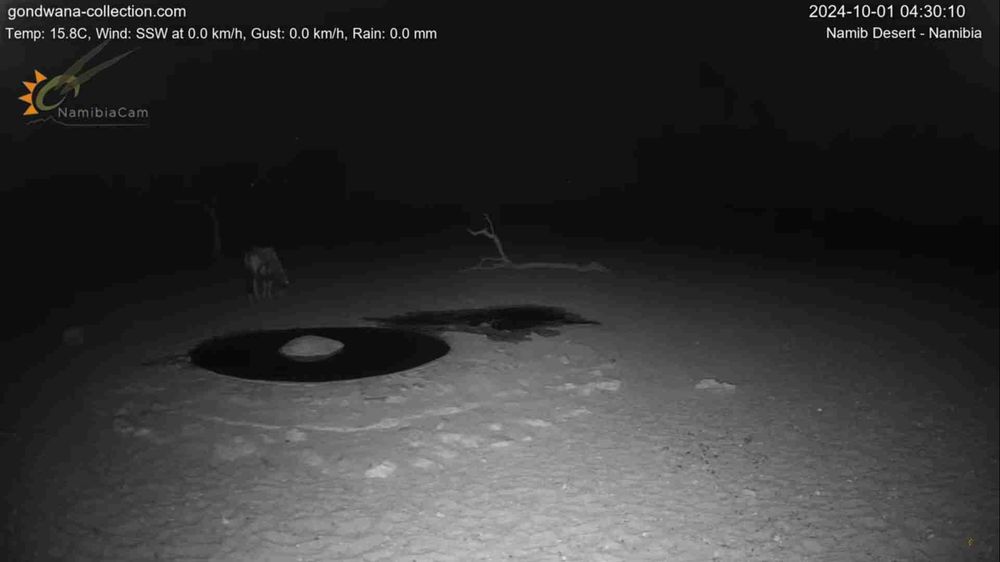 Namibia: Live stream in the Namib Desert