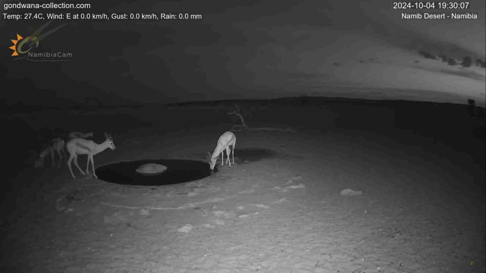 Namibia: Live stream in the Namib Desert