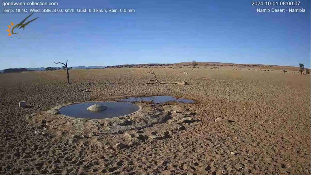 Namibia: Live stream in the Namib Desert