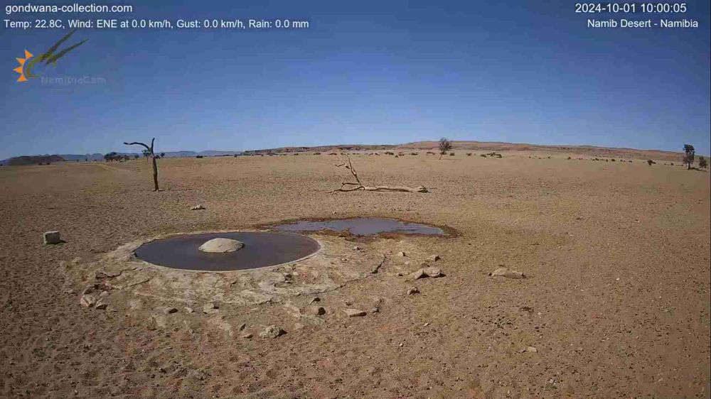 Namibia: Live stream in the Namib Desert