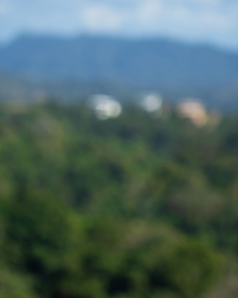 Abstract photography showing blurred vibrant greens of vegetation and distant soft blues of mountains and sky. Central area includes indistinct white shapes, implying houses or buildings on a distant hill. There is visual contrast between the greenery in the foreground and the blue background representing mountains and sky. Image has a distinctively dreamy, abstract, and impressionistic art style through purposeful defocusing.