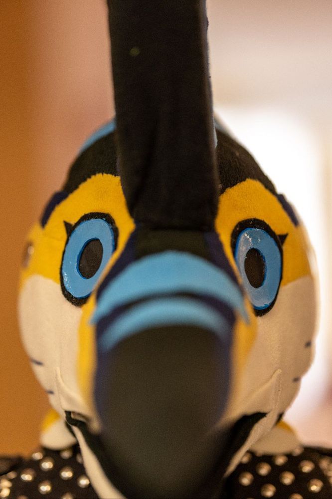 A front-facing view of my marlin fursuit’s head