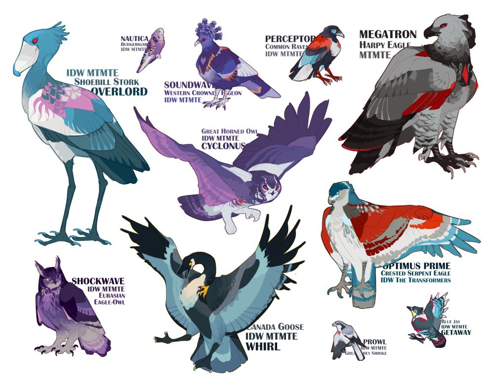 Birbification designs for Transformers characters! featured characters shown in tags