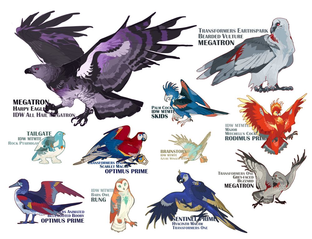 A batch of birbified transformers, multiple continuities, characters in tags