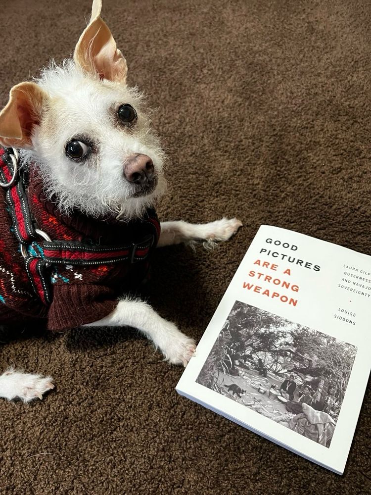 Harvey, possibly the least attractive and most photogenic dog on earth, dressed in a professorial sweater and resting his tiny paw on a copy of “Good Pictures Are a Strong Weapon”. He is looking at the camera with characteristically bulging eyes. 