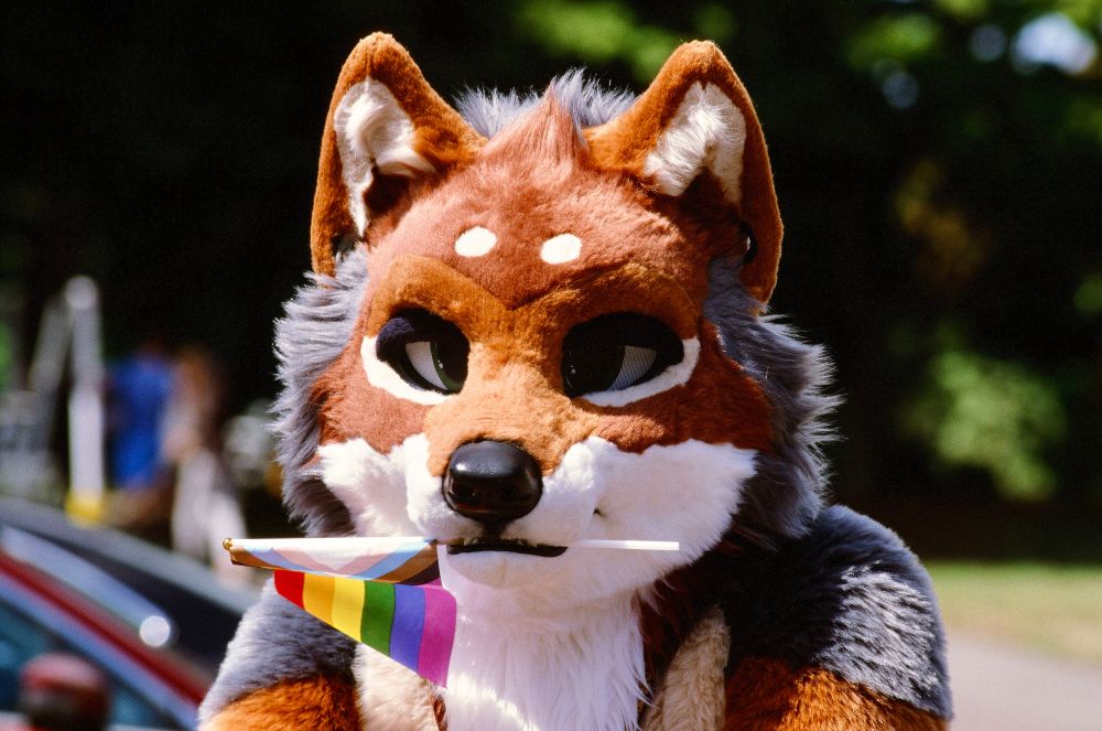 Cooper holding a pride flag in his mouth