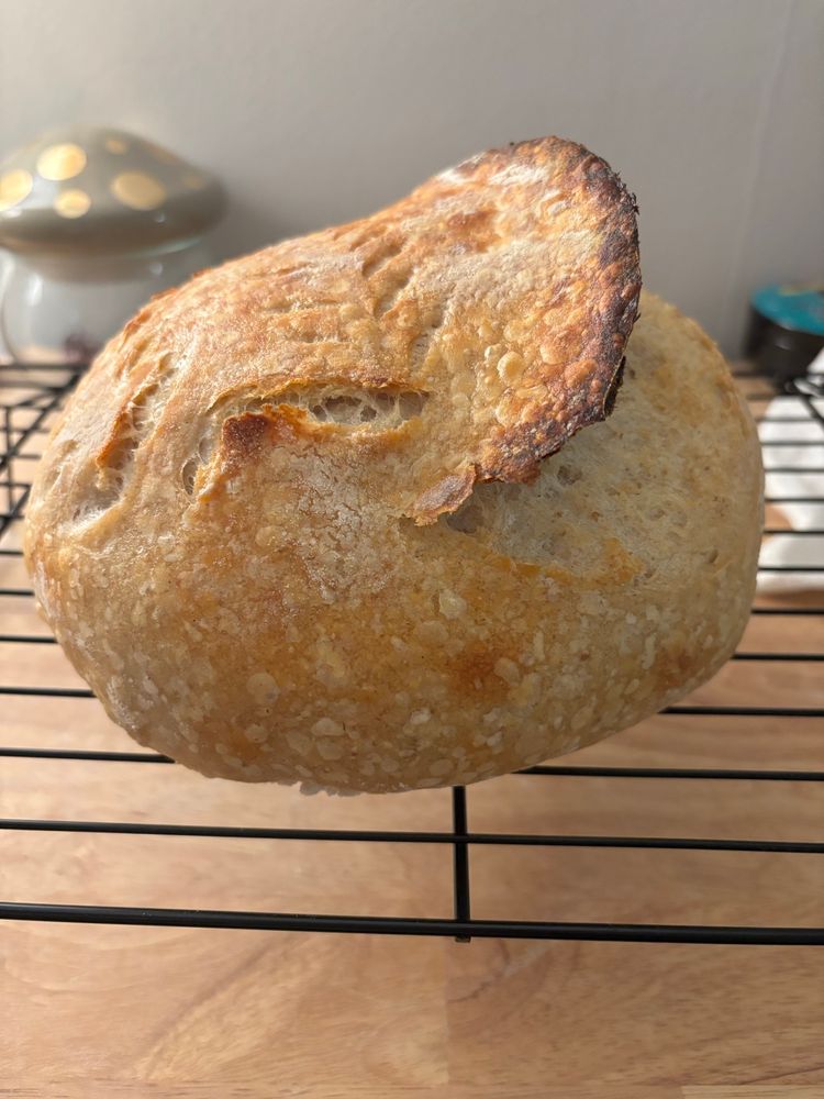 Sourdough boule 