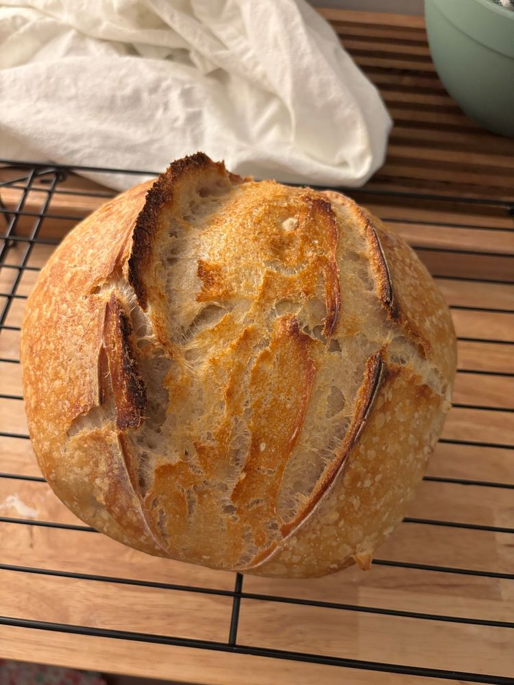 Loaf of sourdough bread