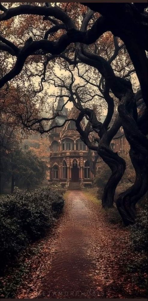 A winding path lined with fallen leaves leads through a moody forest towards a grand, gothic-style mansion with intricate stonework and arched windows.