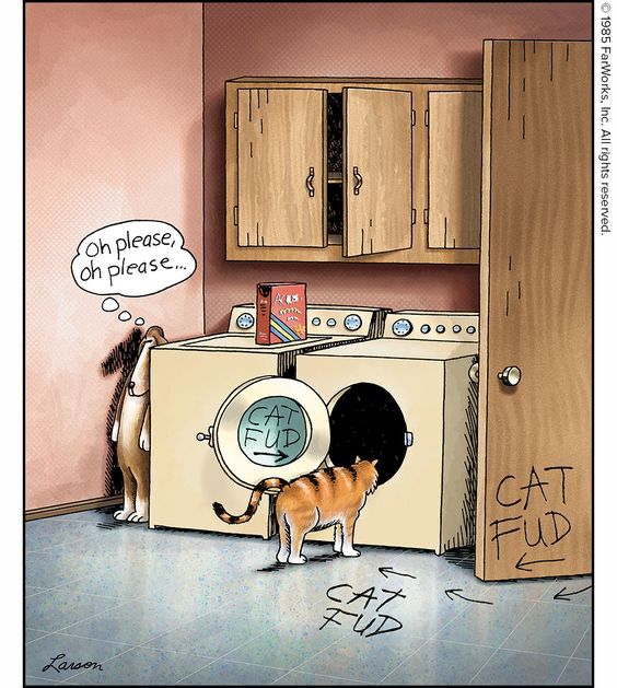Gary Larson’s FAR SIDE strip where a dog is trying to lure a cat into a dryer with pointed signs marked “cat Fud” while the dog thinks “oh please oh please” 
