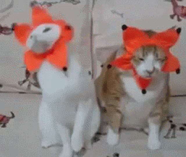 two cats wearing orange hats are sitting next to each other on a bed