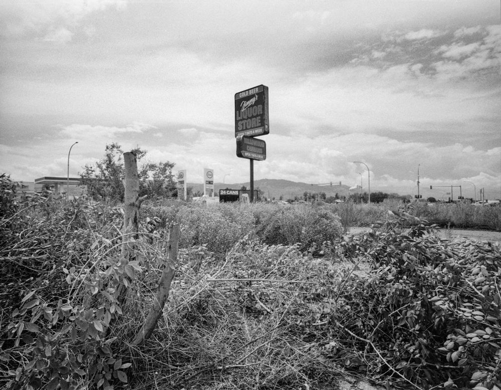 Chopped up shrubs and bushes are piled up. Looming above is a sign that reads: Cold Beer, Jimmy's Liquor Store, Open 7 days a week, Yellowhead Cannabis, Open 7 days a week.