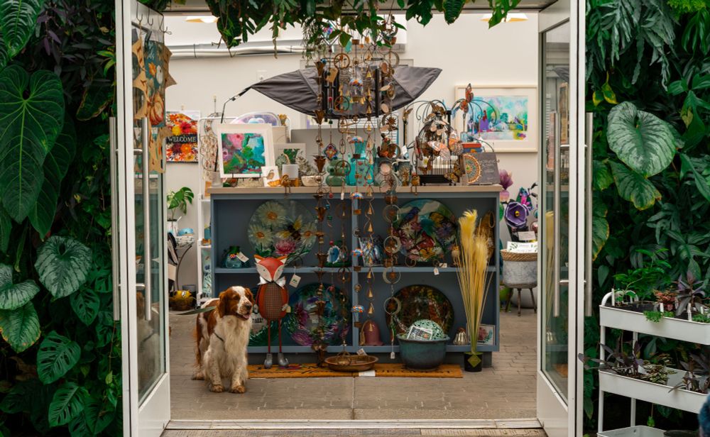 the doorway of an arboretum gift shop, and a dog waiting inside.  the doorway is surrounded by a variety of lush green tropical foliage. 