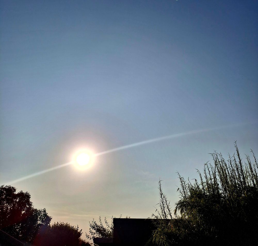 ...aufgehende Sonne, blauer Himmel. Im Vordergrund Bambus.
