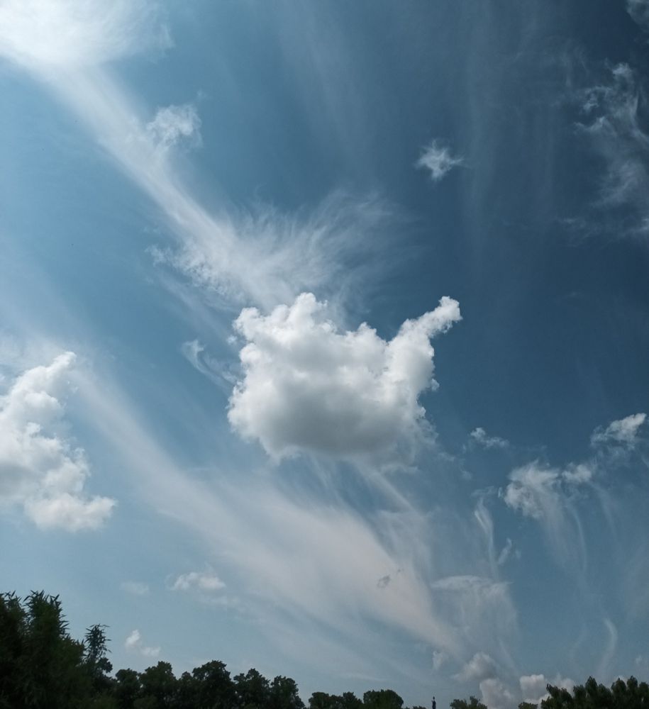 Ein blauer Himmel mit verschleierten Wolken und Baumspitzen...
