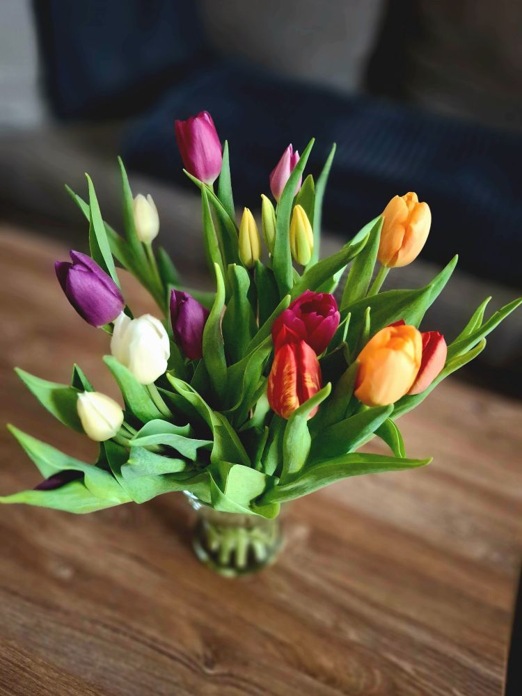 Auf einem Tisch steht eine Vase mit bunten Tulpen. 