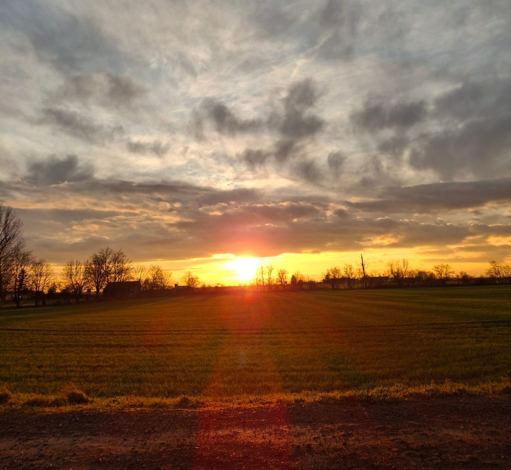 Im Vordergrund ein Feld. Am Horizont die untergehende Abendsonne.
 