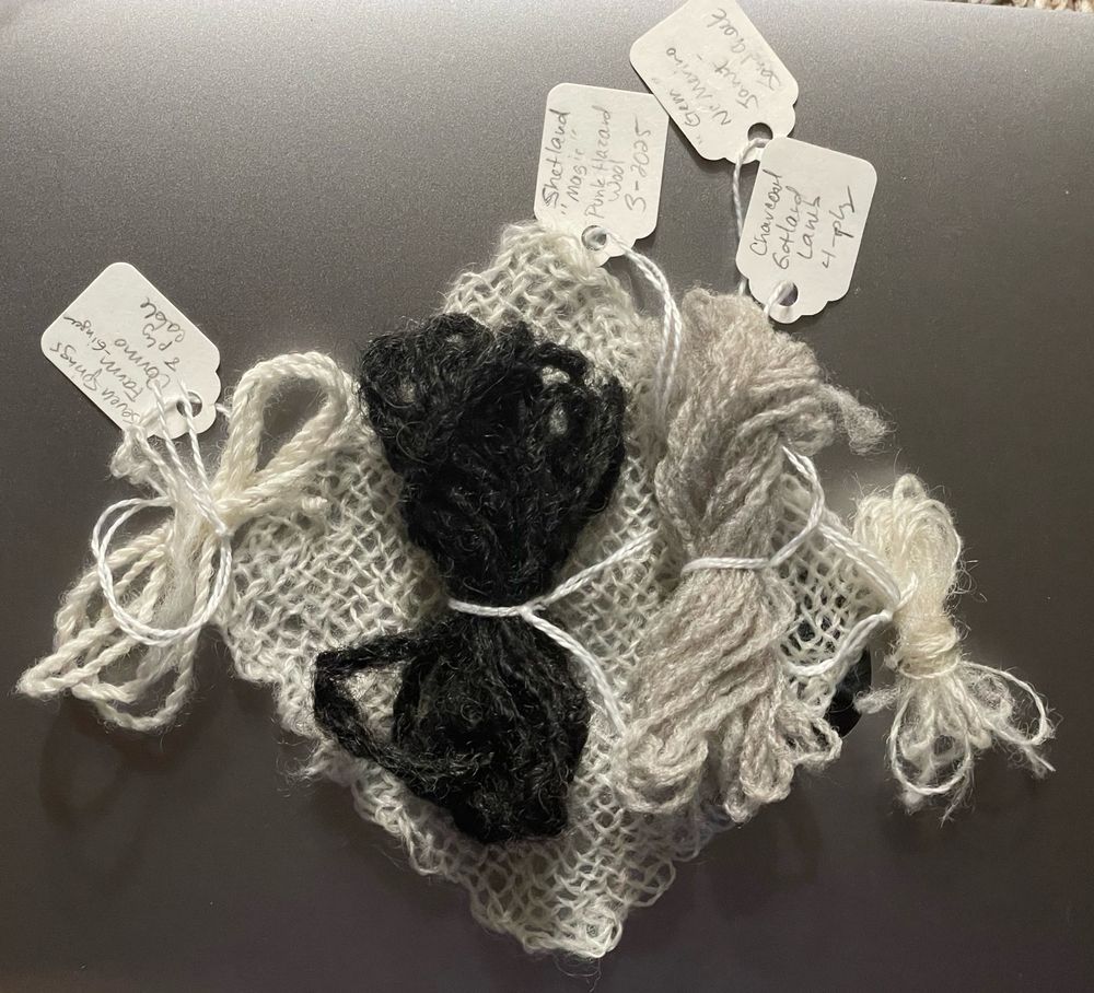 4 small bundles of handspun yarn in a variety of natural colors and textures and one white woven square air on a silver laptop. Small paper tags are affixed by a cotton string to each with the breed, source, date, ply structure, and other notes. 

#handspinning #yarn #wool