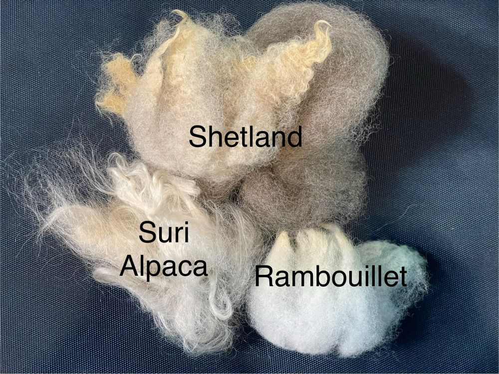 Three handfuls of washed fiber sit on a dark blue woven background. The top is a fawn colored Shetland wool with wavy crimp and creamy yellow tips, the right is a matte white densely crimped and shorter length Rambouillet wool, and the left is a creamy cloud of beige suri alpaca that’s been picked open, with a shiny halo surrounding. 