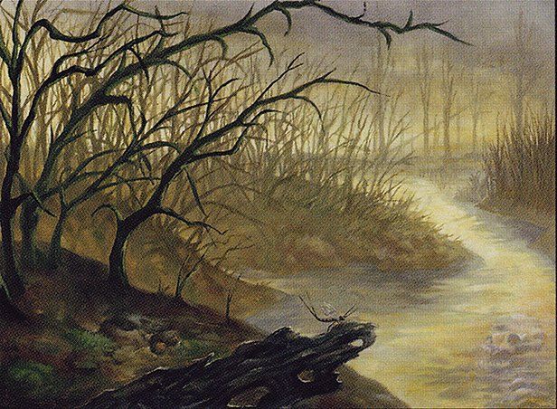 Art for the Magic: the Gathering card 'Salt Marsh' from the set 'Eighth Edition' by the artist 'Jerry Tiritilli'