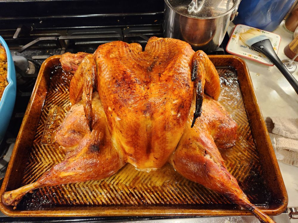 A baking sheet on top of the stove, containing a beautifully roasted turkey, splayed out wantonly in a "take me now" pose. It is capital-C Cooked.  