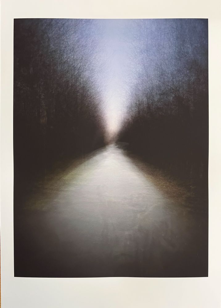 A blurred, high-angle shot depicts an abstract painting dominated by a dark, mysterious pathway receding into the distance. The pathway, occupying the lower center of the frame, is a light, muted grey, almost glowing as it narrows towards a bright, hazy light source at the top center. The sides of the painting are filled with indistinct, dark forms, resembling dense, shadowy trees or walls of foliage, rendered with vertical, streaky brushstrokes in dark blues, greys, and blacks. The overall impression is one of depth and solitude, evoking a sense of a journey into an unknown or dreamlike landscape.