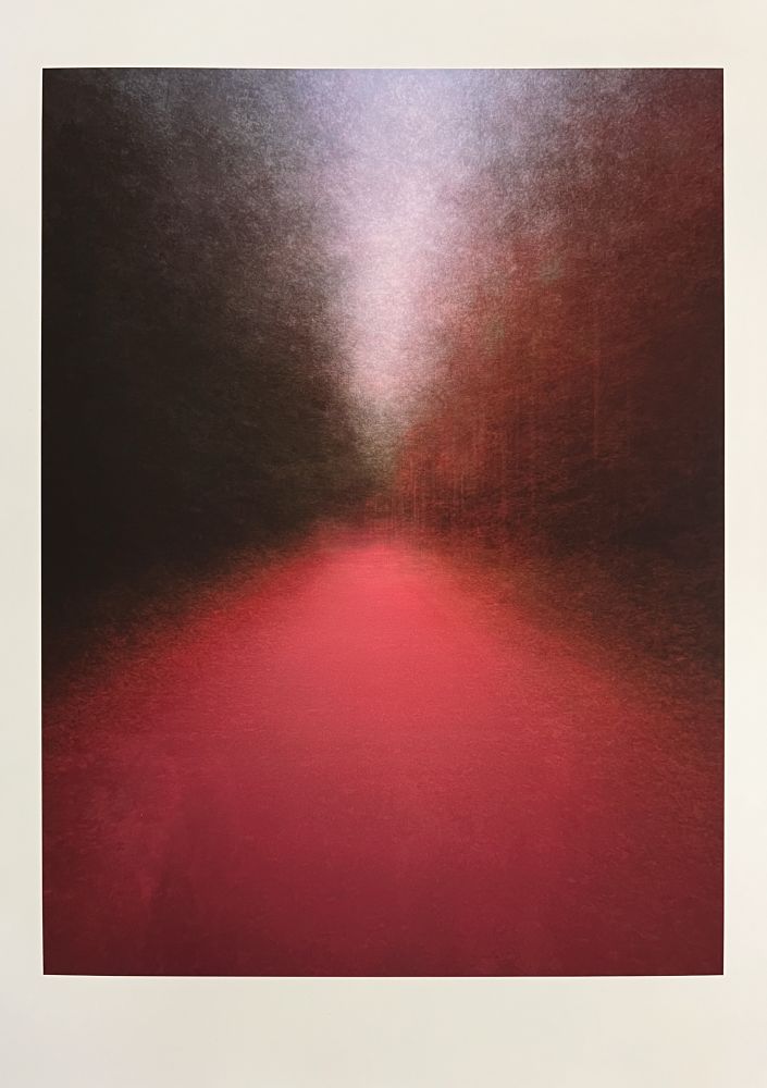 A high-angle shot depicts a dark, blurred, abstract digital yet painterly image with a prominent red foreground. The red is deep and rich, occupying the lower third of the frame. Above it, the middle ground and background are a hazy mixture of dark greens, browns, and reds, transitioning into a muted, almost white, light source at the top center. The brushstrokes are vertical and indistinct, giving the impression of a dense, shadowy forest or an atmospheric landscape viewed through a veil. The overall mood is mysterious and somewhat ominous due to the deep colors and lack of clear definition.