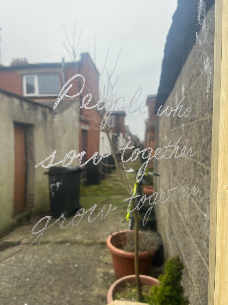 A wooden raised garden bed with blooming yellow daffodils and small evergreen plants is placed against a concrete wall. A tall, rectangular mirror with a wooden frame stands behind it, reflecting the surrounding alleyway and buildings. The mirror has an engraved inscription reading, “People who sow together grow together.”
