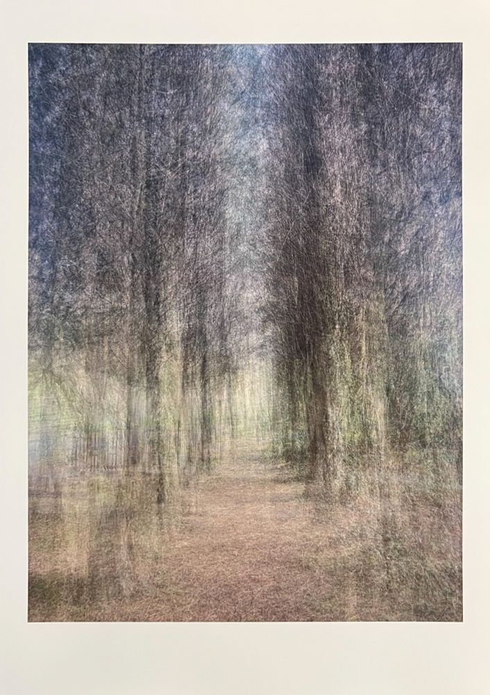 An abstract, blurred image of a path leading through a dense, vertical forest or grove. The trees lining both sides of the path are tall and slender, rendered with a hazy, feathery texture due to motion blur, creating an ethereal, dreamlike quality. The path itself is a muted brown color, covered in what appears to be leaves or natural debris. Patches of lighter, brighter tones are visible through the trees, suggesting natural light filtering through the foliage or a clearing in the distance. The overall impression is one of gentle movement and soft natural light.
