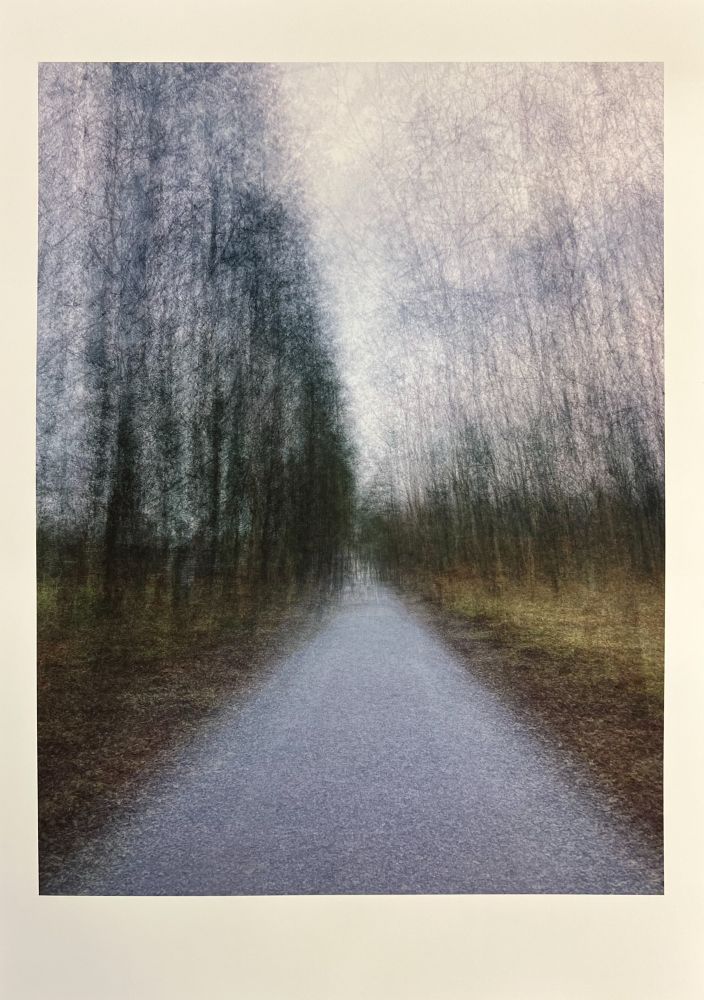 A blurred, high-angle shot depicts an abstract digital yet painterly image of a pathway receding into a hazy distance, flanked by tall, ethereal trees. The pathway, a light, muted grey, occupies the lower center and narrows towards a subtle light source at the top center. On either side, dark, slender vertical forms, resembling bare tree trunks and branches, rise upwards, rendered with fine, streaky lines in shades of dark grey, brown, and hints of blue. The ground beside the path has touches of muted brown and green. The overall mood is quiet and atmospheric, suggesting a walk through a winter forest or a misty, dreamlike scene.