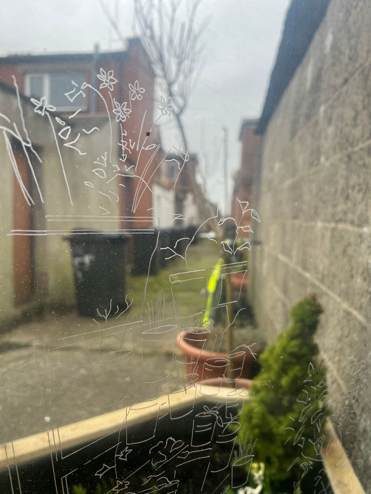 A close-up of the mirror, showing the engraved text “People who sow together grow together” in elegant cursive. The reflection reveals an alleyway with potted plants, a bicycle, and bins, adding depth to the image.