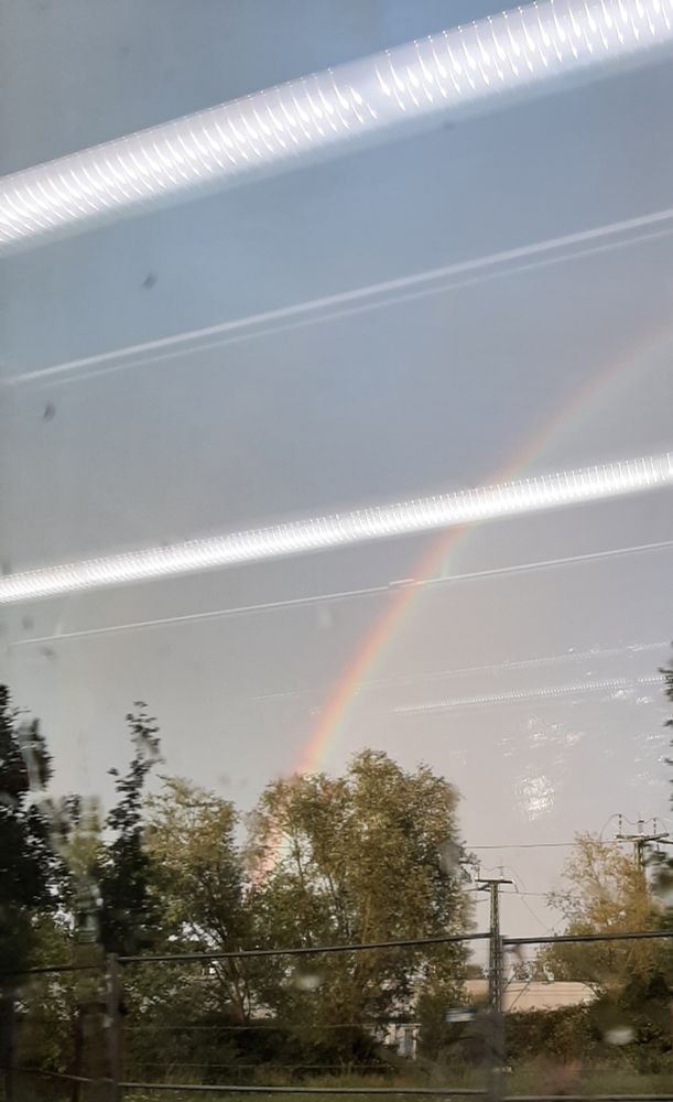 Ein Regenbogen durch ein Straßenbahnfenster fotografiert.