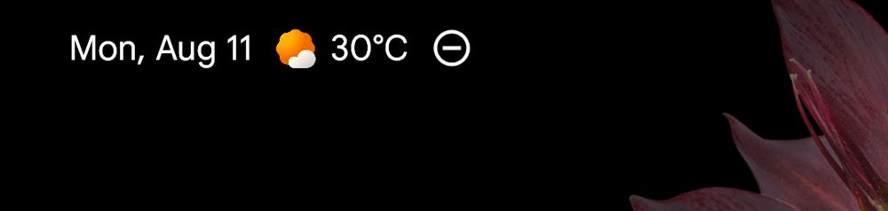 Monday, August 11th 30° c. 

It's a screenshot.