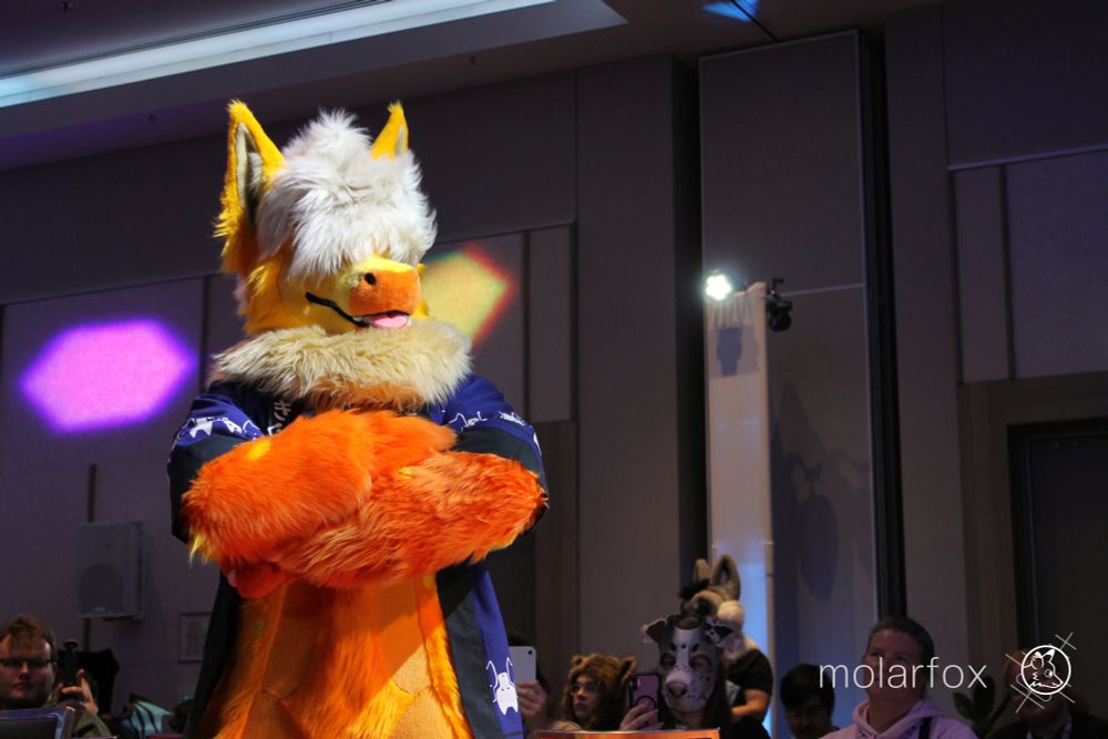 Spaxe crosses his arms wearing a navy blue Japanese happi looking towards the right with a lot of confidence!