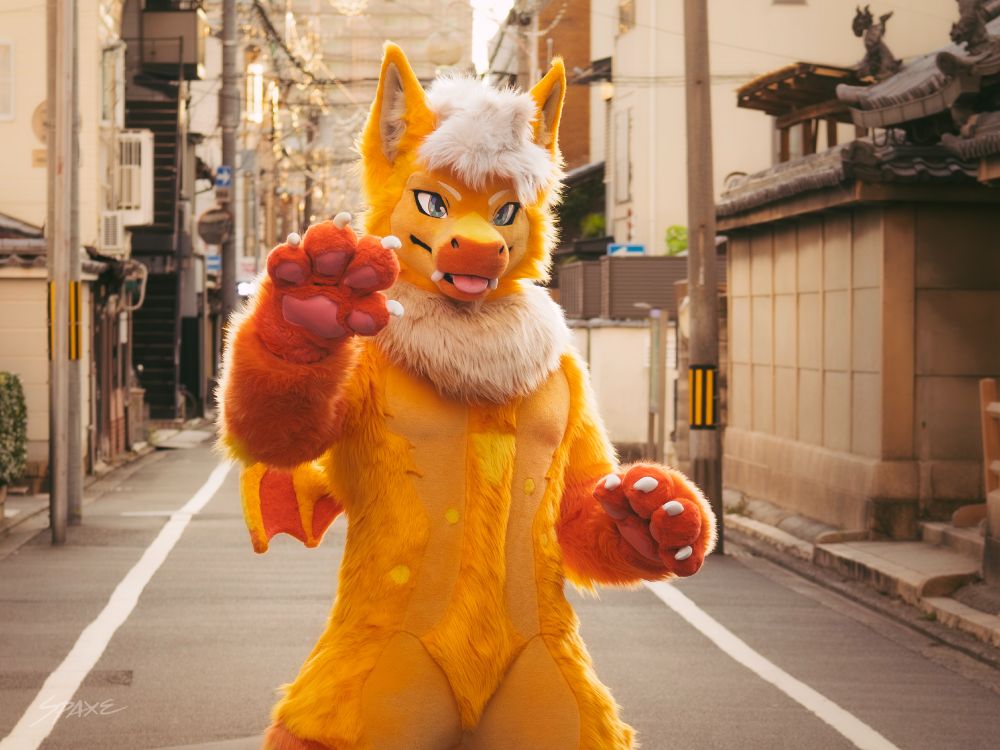 Spaxe the orange mango fluffy dragon standing in a Japanese alley way holding up one paw in a golden photo