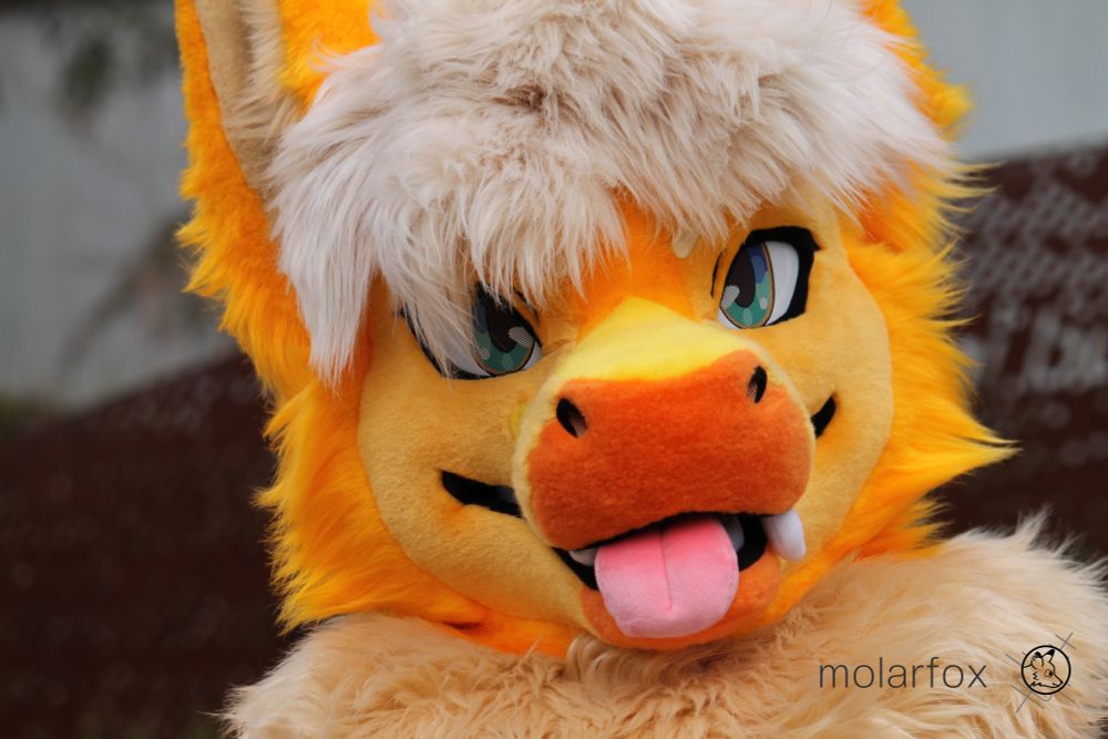 Close up of Spaxe the fluffy dragon fursuit